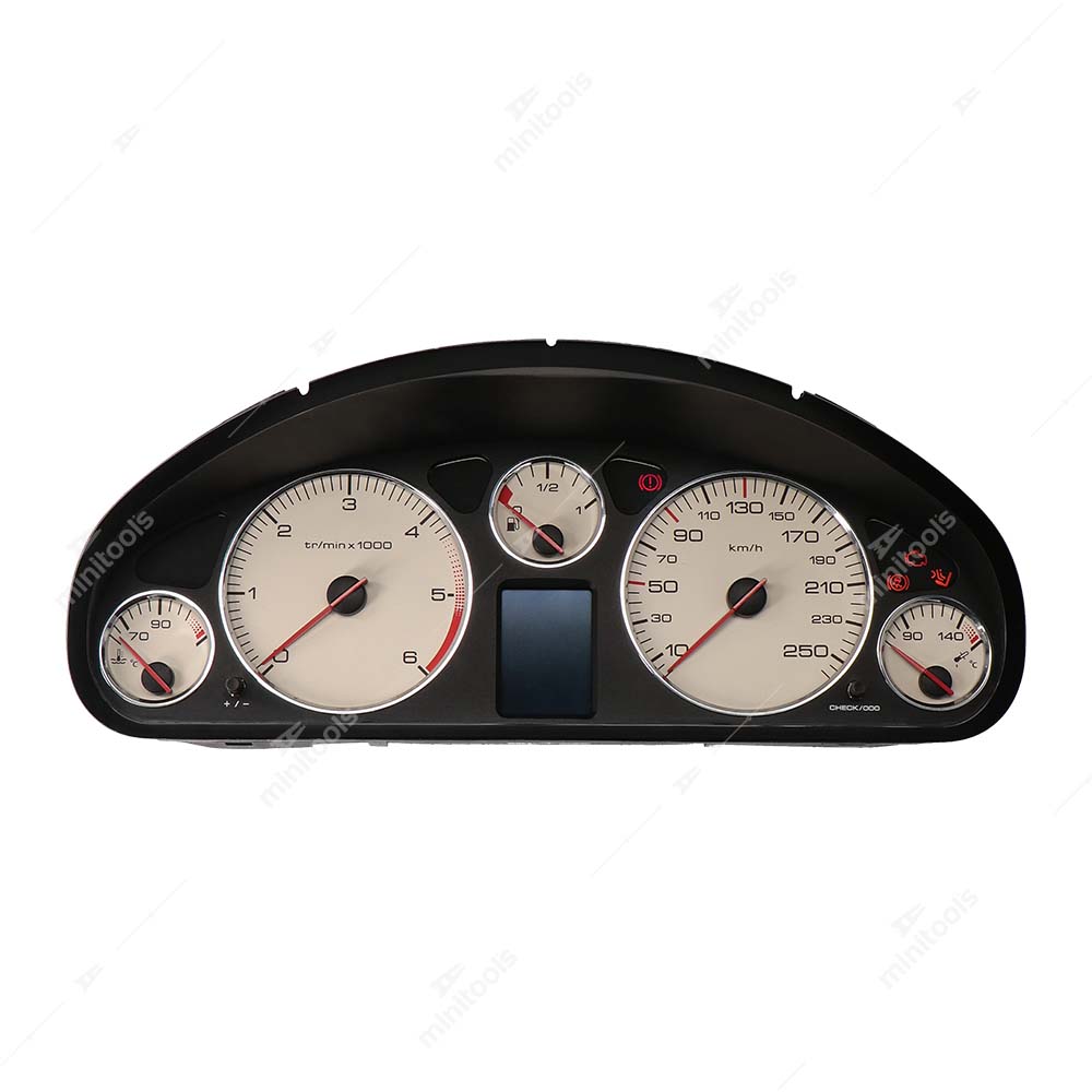 11_peugeot-407-instrument-cluster.jpg