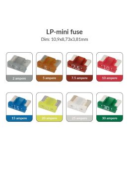 32V LP Mini automotive fuse - ampere available