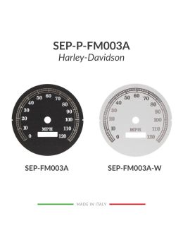 Confronto versioni disponibili fondino contachilometri Harley-Davidson
