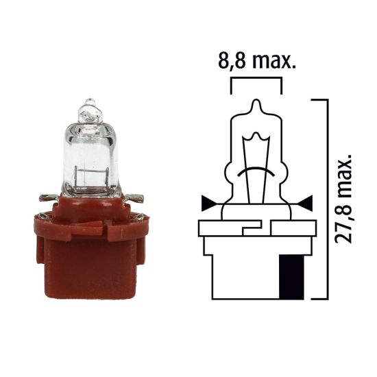 Schema of instrument cluster bulb  B10d 12V with brown socket 