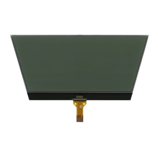 Ducati Monster 696,  795, 796 and 1100 LCD display - Front side